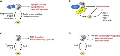 Mast Cells in Neurodegenerative Disease